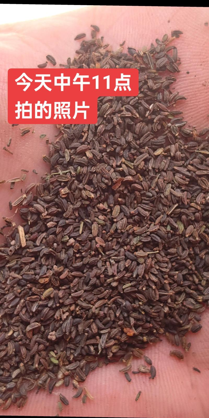 农业农资市场的最新动态