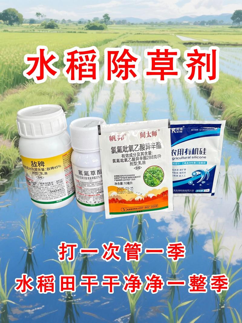 春耕时节，解读建恩农资如何助力农业腾飞