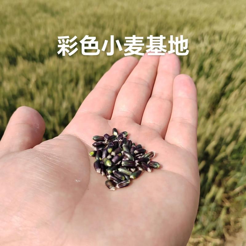 农药零售市场的动态风云