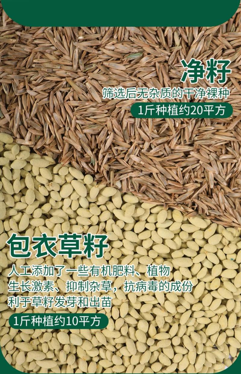 化肥批发行业：市场动态与发展趋势